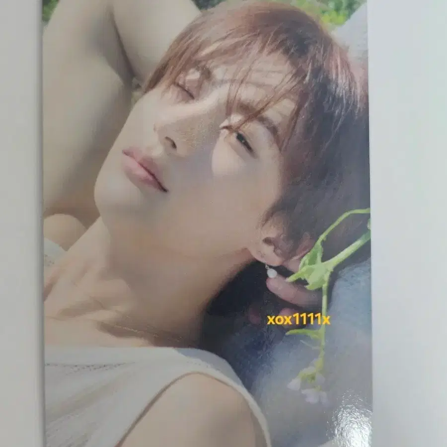 라이즈 앤톤 찬영 일본 DYD 앨범 포카 HMV loppi 에쳄비 한정 1