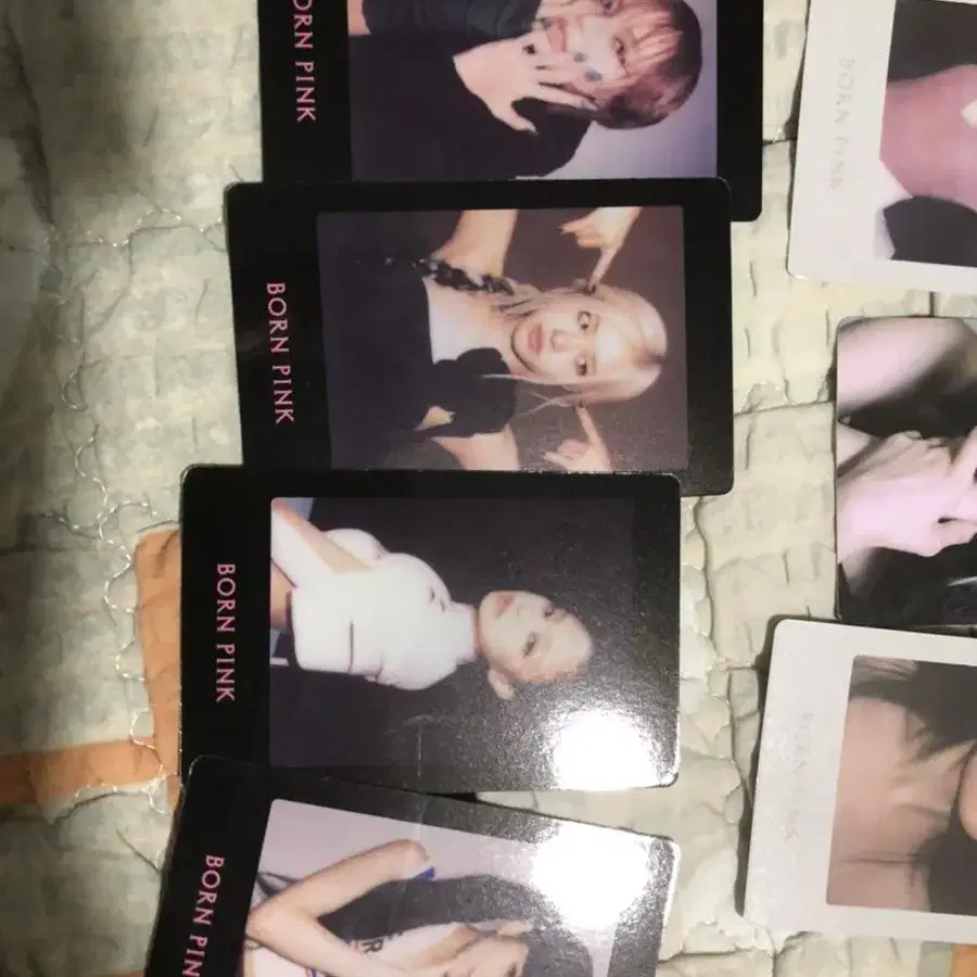 블랙핑크팝업미공개포토카드베놈