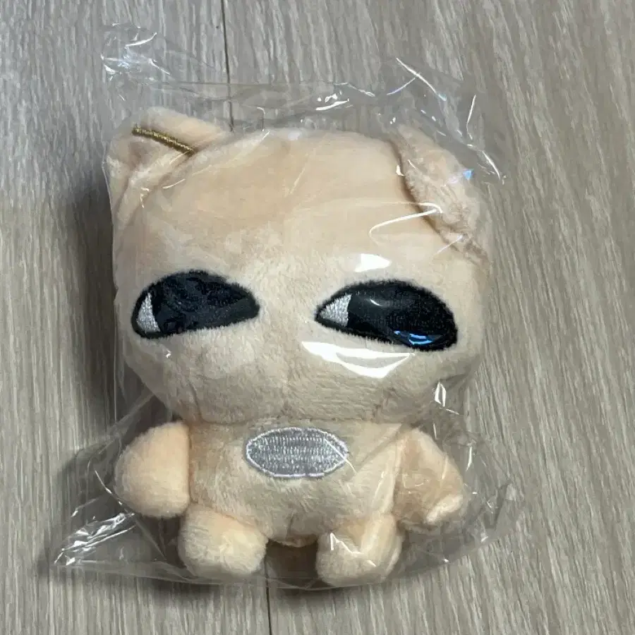 양어린 녀석 아이엔 인형 현진 필릭스 특 리노 한 방찬 승민 창빈 포카 1