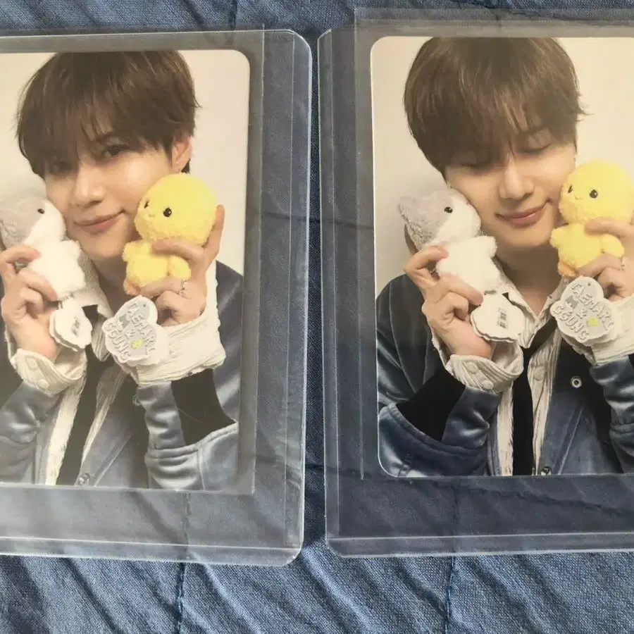 샤이니 태민포카 팝니다 꿍아리탬포카 1