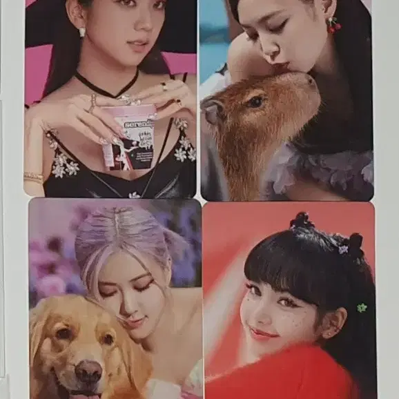 블랙핑크 럭드 포카 특전 앨범 주년 팝업 5주년 1