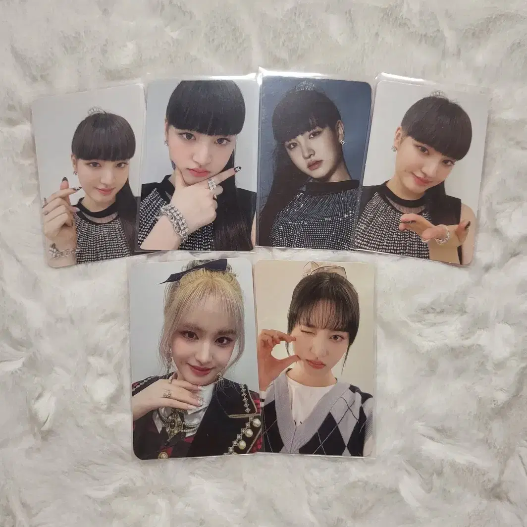 14장(폭덤!)아이브 리즈 포카 양도 3