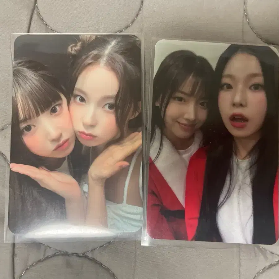 엔믹스 지우 규진 유닛 포카