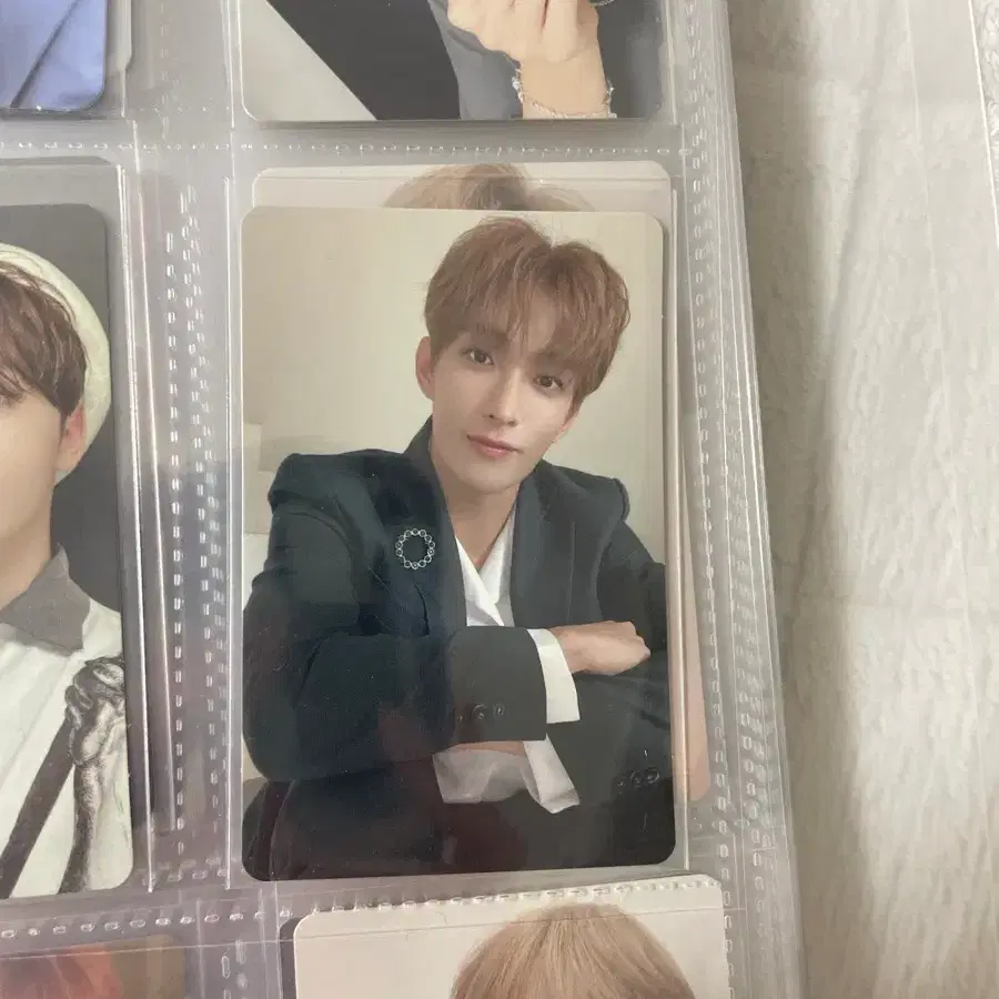 세븐틴 도겸 폴플 폴린플라워 일본 앨범 포카 1
