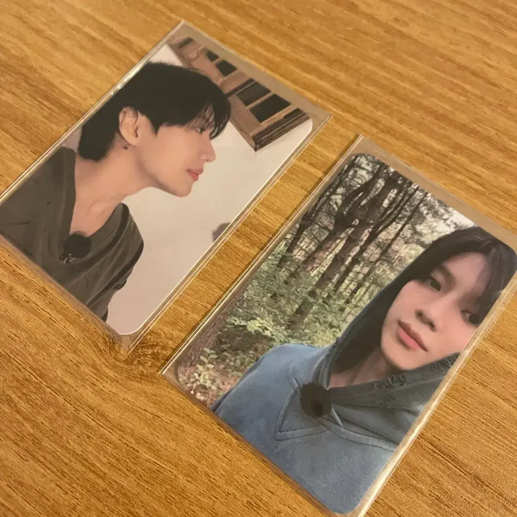 샤이니 태민 레어탬 포카 1