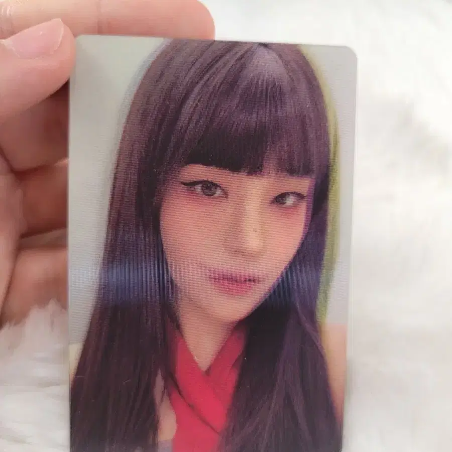 있지 예지 체셔 리미티드 에디션 포카