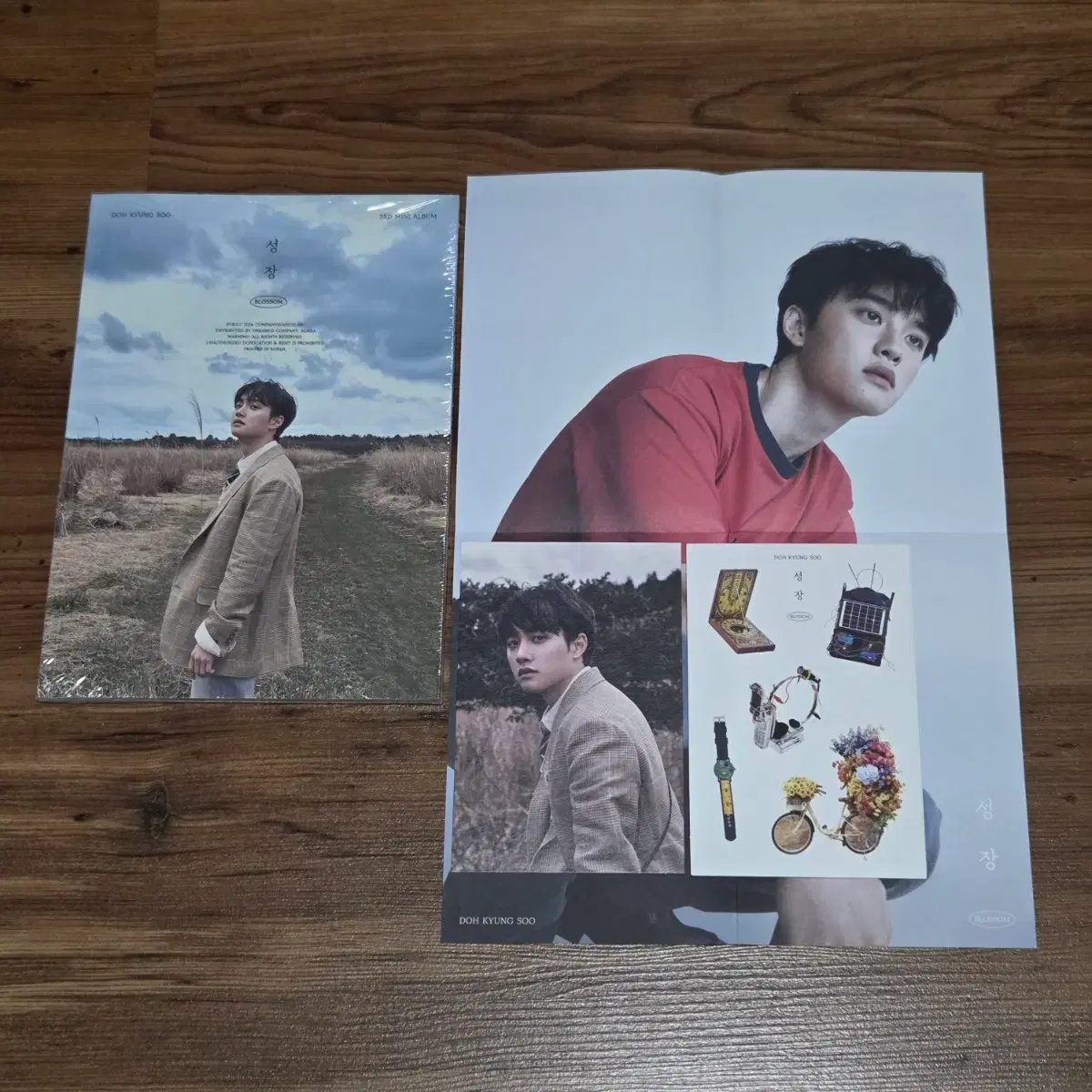 (포카X) 도경수 3집 성장 마스 버전 앨범 엑소 디오 1