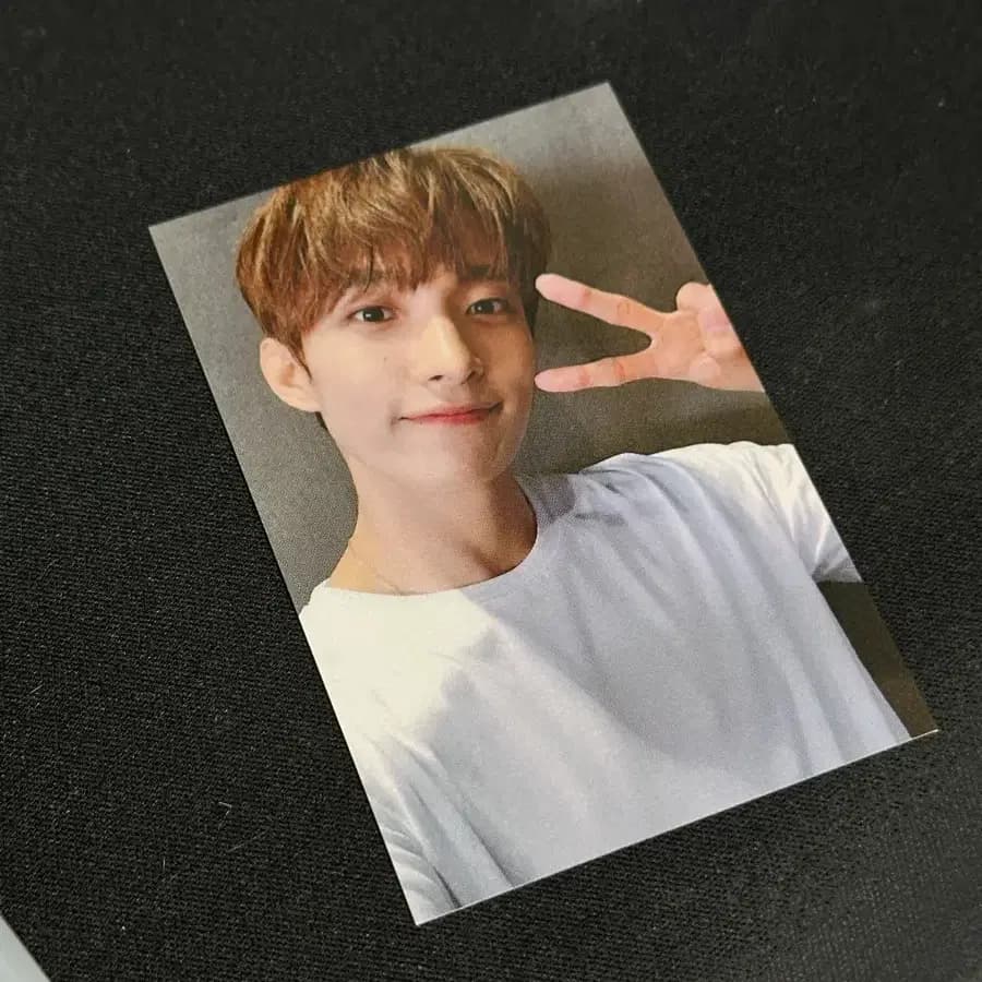 세븐틴 도겸 SVT DK HIT 힛 히트 공방 포카 양도 1