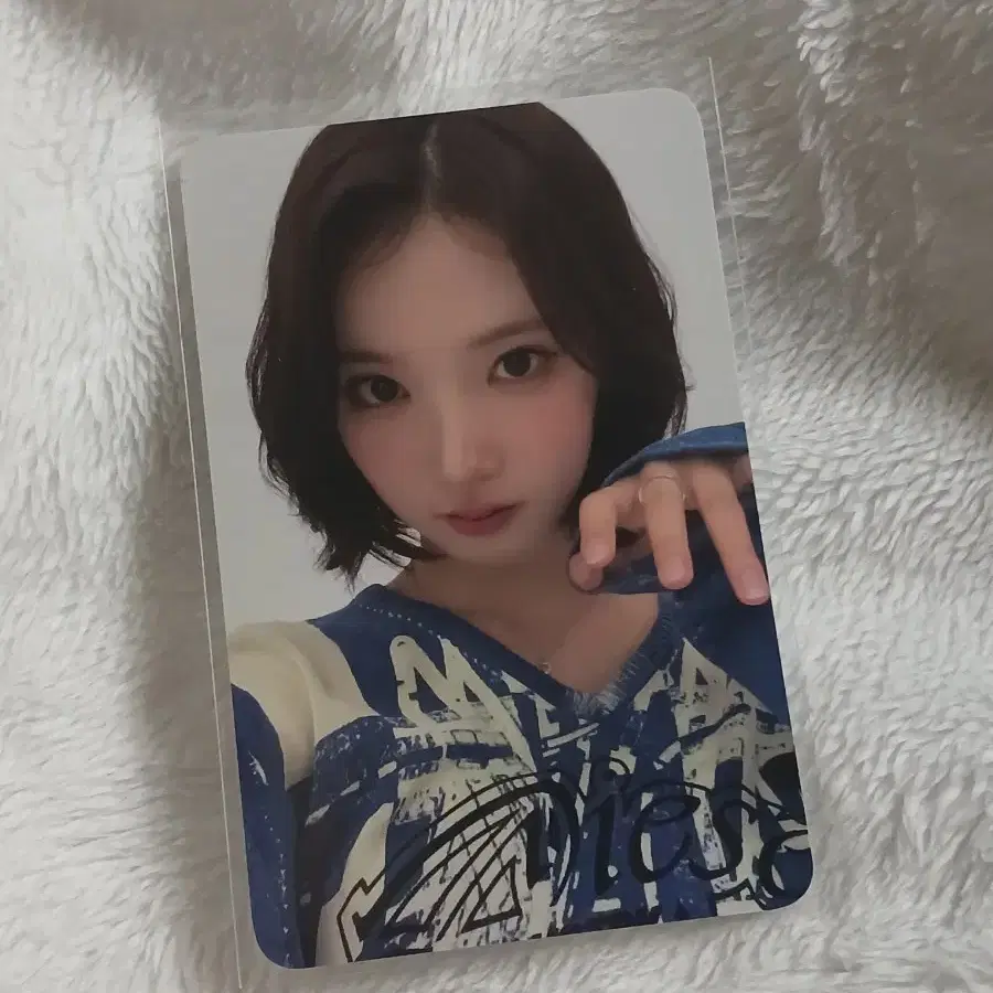 하츠투하츠 하투하 포커스 케타포 지우 포카 1