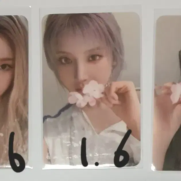 엔믹스 포토카드 1