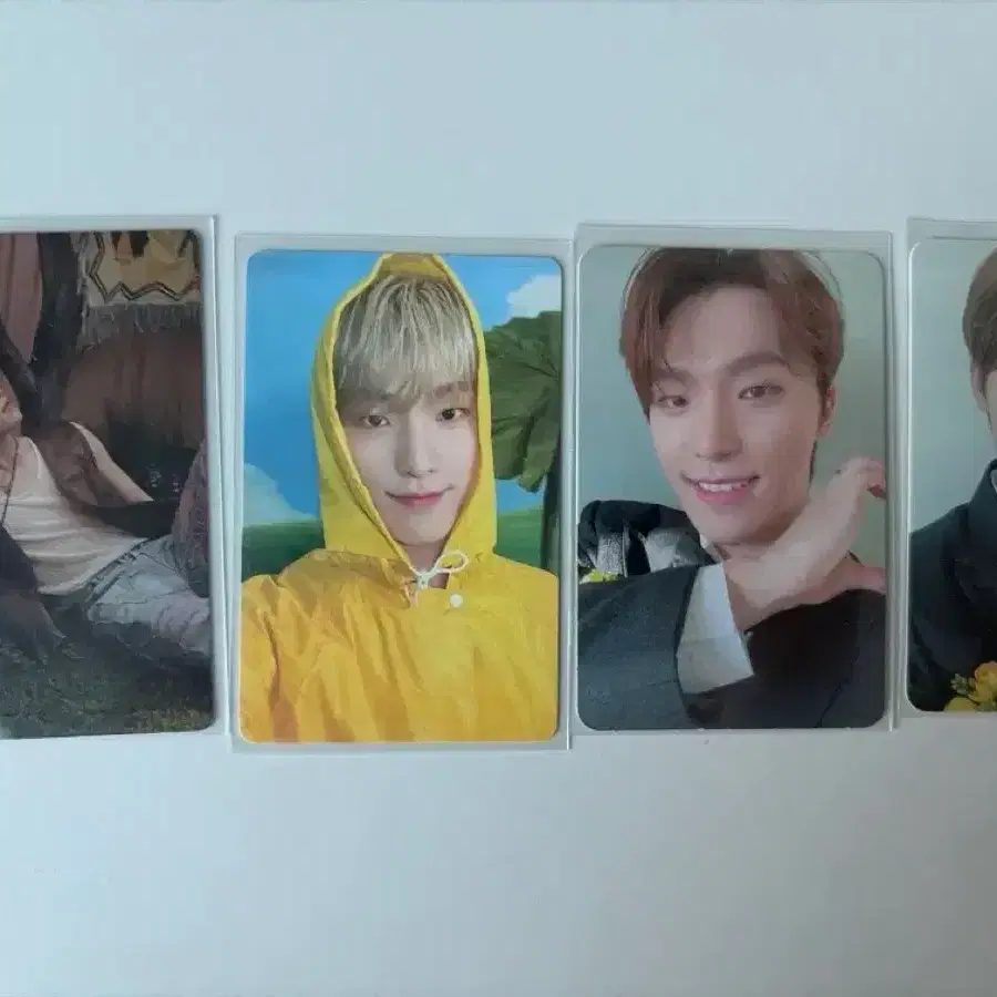 세븐틴 디노 포카 양도 11