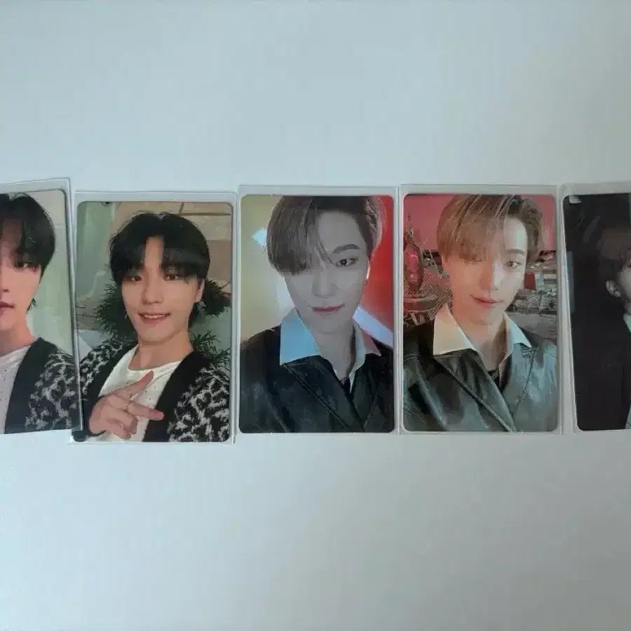 세븐틴 디노 포카 양도 2