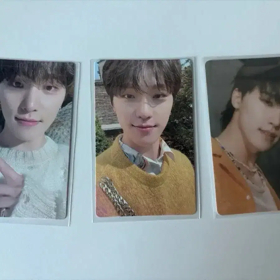 세븐틴 디노 포카 양도 9