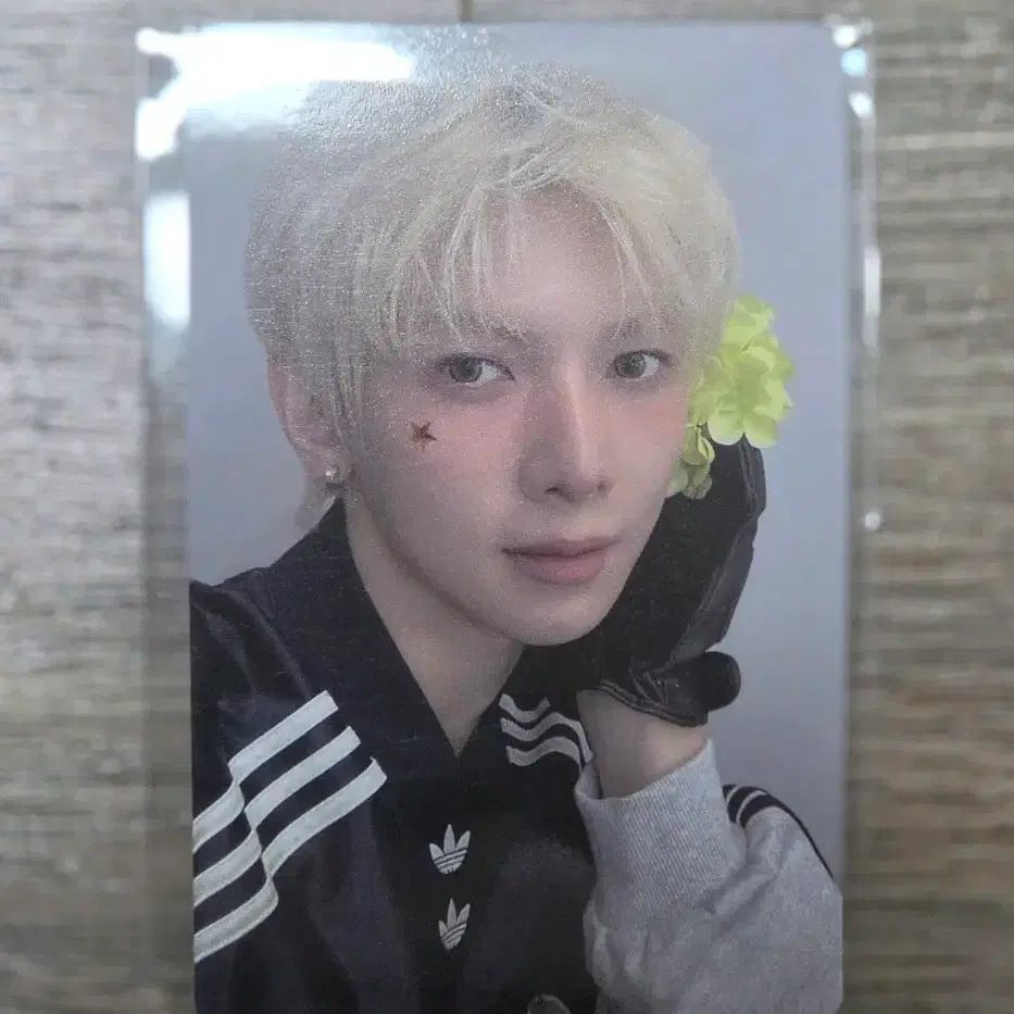 에이티즈 여상 애니티즈 팝업 10만원 특전 포카 1