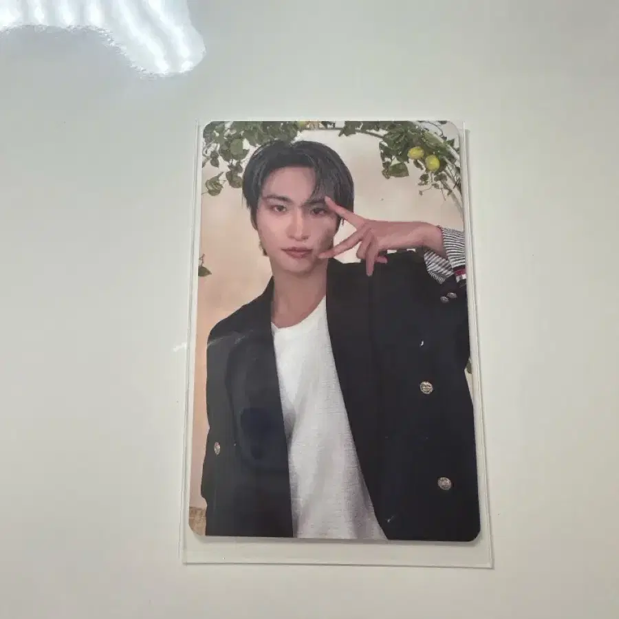 마이티즈 ateez 성화 구매 특전포카 1