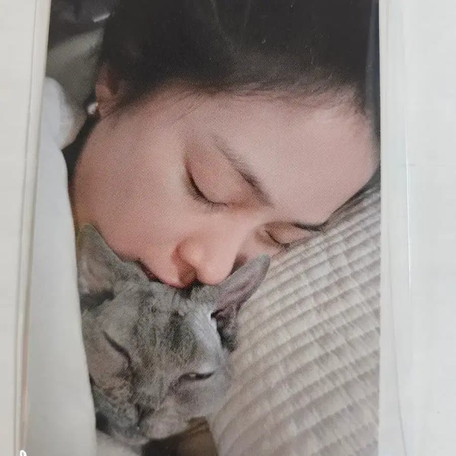 있지 류진 공방 포카 양도 1