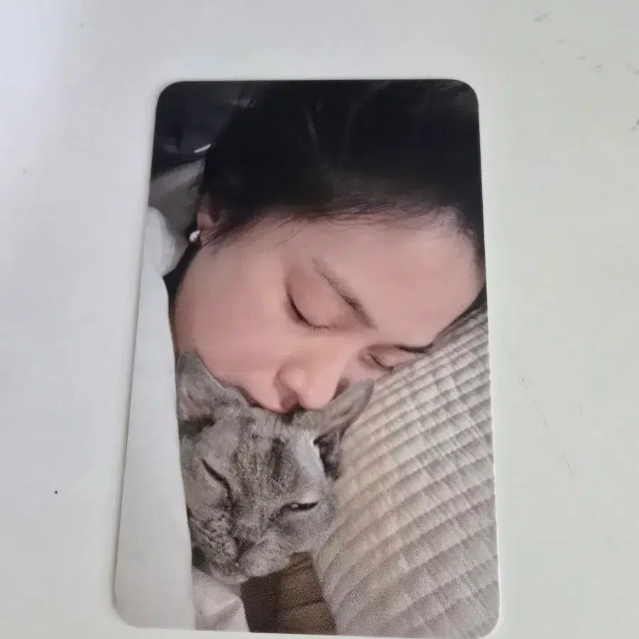 있지 모토 류진 공방포카 1