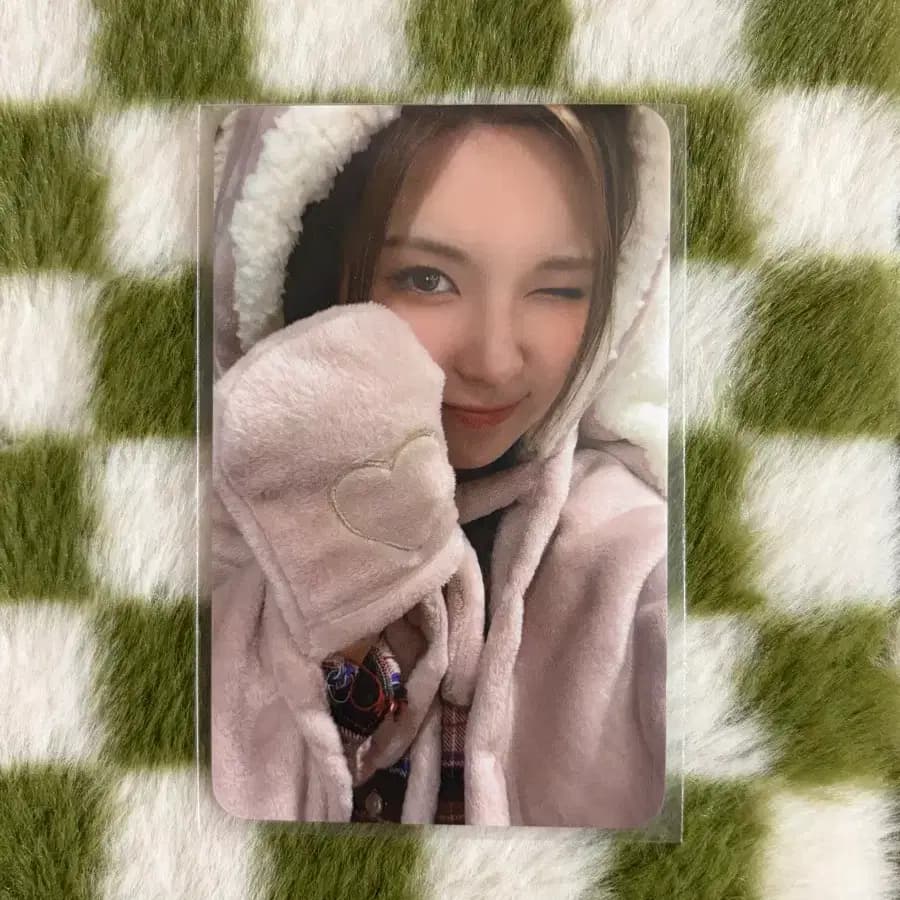 엔믹스 배이 토끼 담요 포토카드 포카 양도