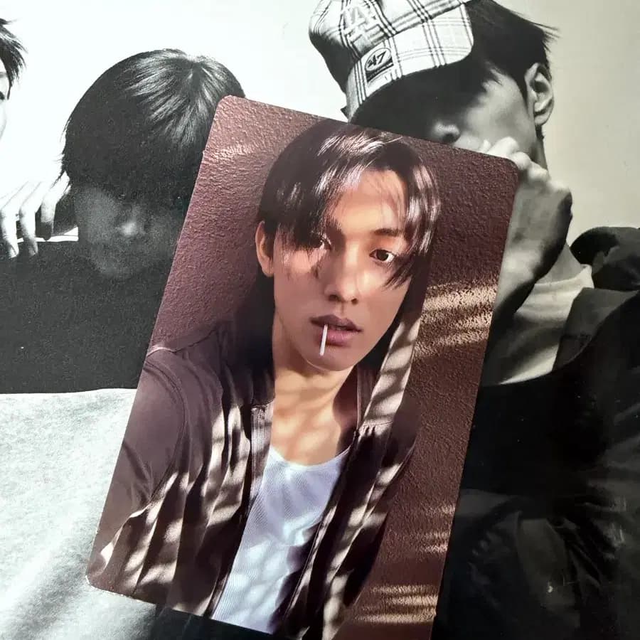 코르티스 성현 그린그린 위버스 앨범 포카 양도 1