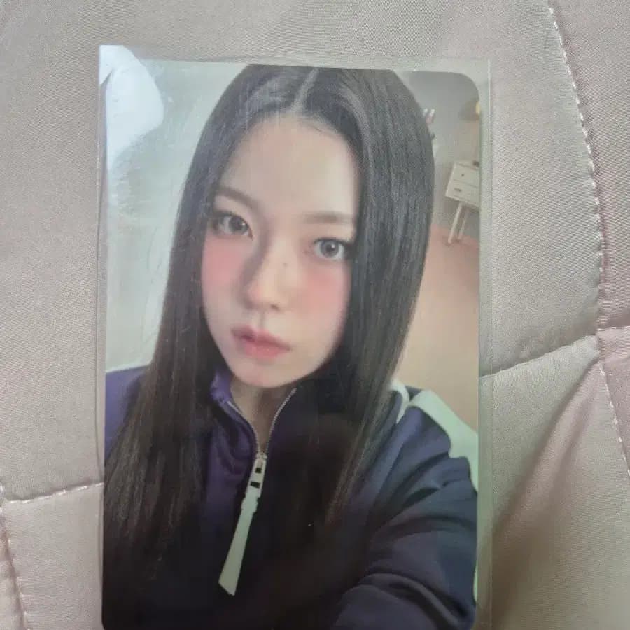 엔믹스 규진 포카 1