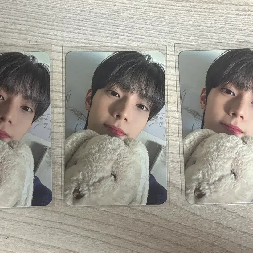 플레어유 최립우 강우진 포카 양도 8