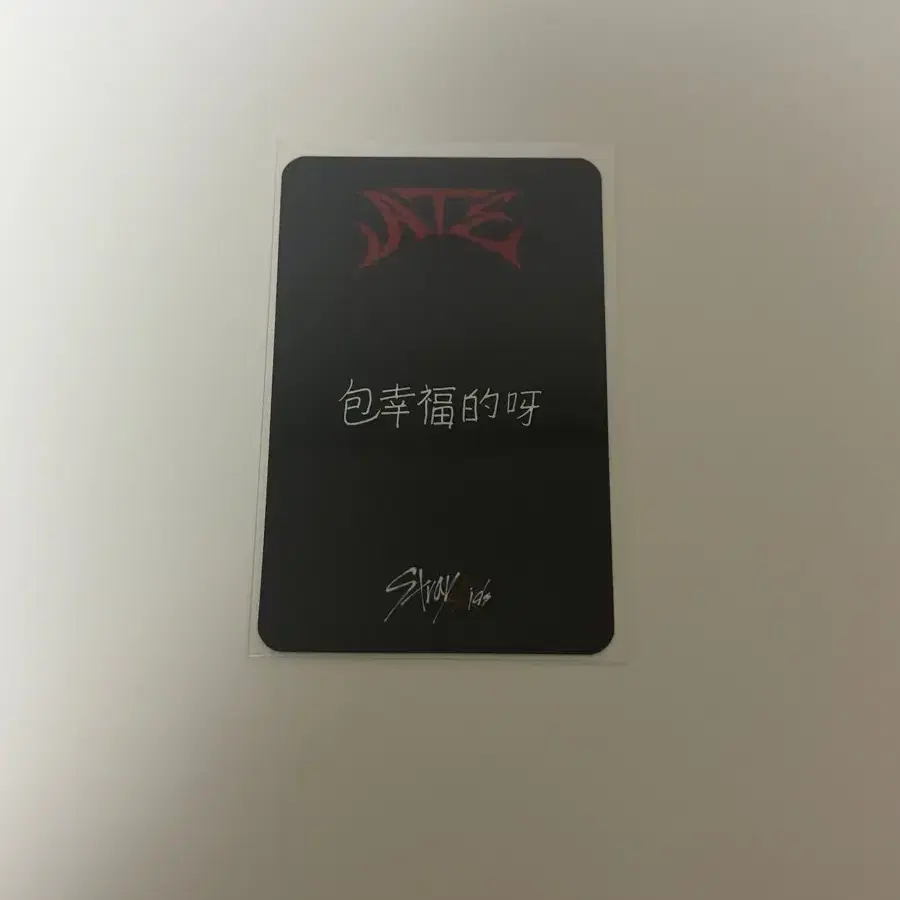 스키즈 ate 아이엔 스타리버 포카 2