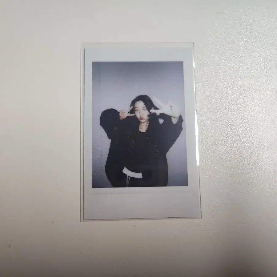 하츠투하츠 스텔라 더체이스 스타리버 폴라 포카 양도 이안지우에이나예온유하 1