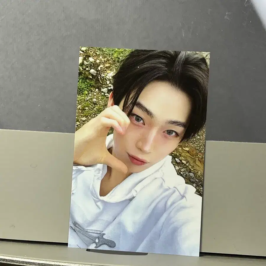 엔하이픈 베니쉬 사운드웨이브 특전 선우 포카 1