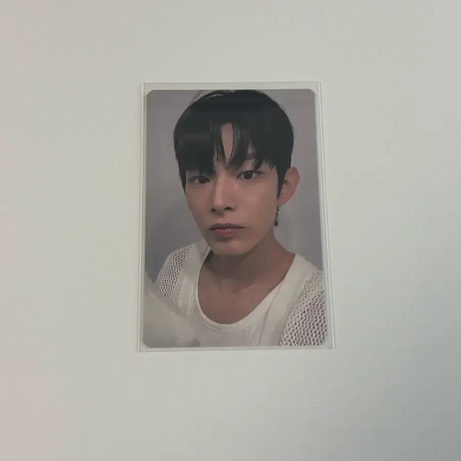 아홉 스티븐 팝업스토어 포토카드 박한 버전이랑 거래 구합니다 1