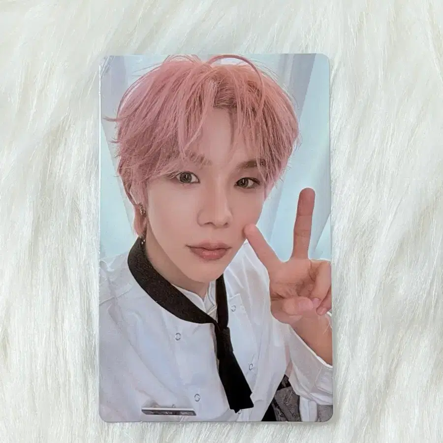 라이즈 위버스 언박싱 이벤트 특전 포카 쇼타로 1