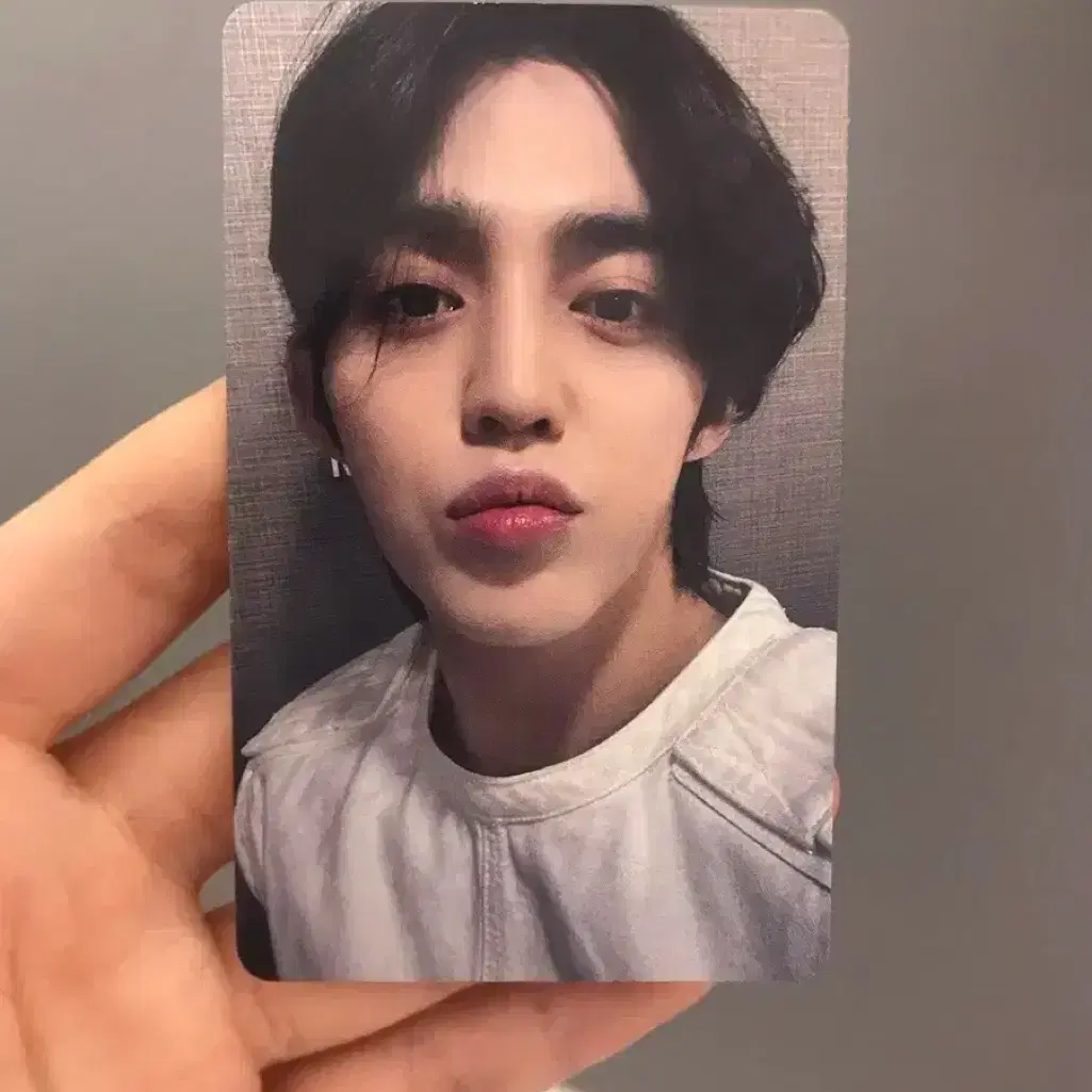 세븐틴 fml kms 에스쿱스 포카 1