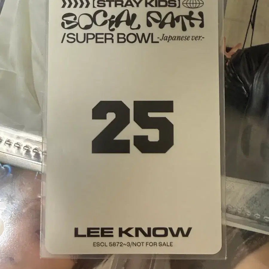 스트레이키즈 리노포카 2