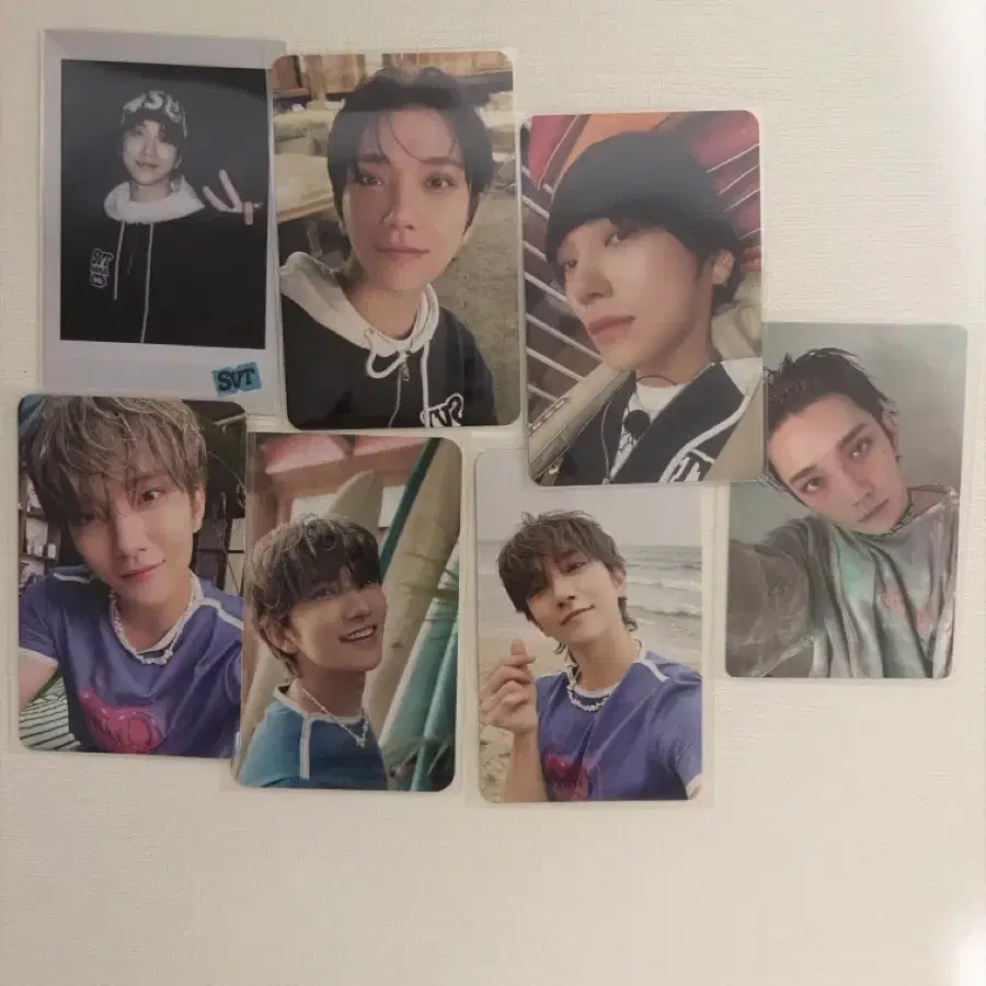 세븐틴 조슈아 포카