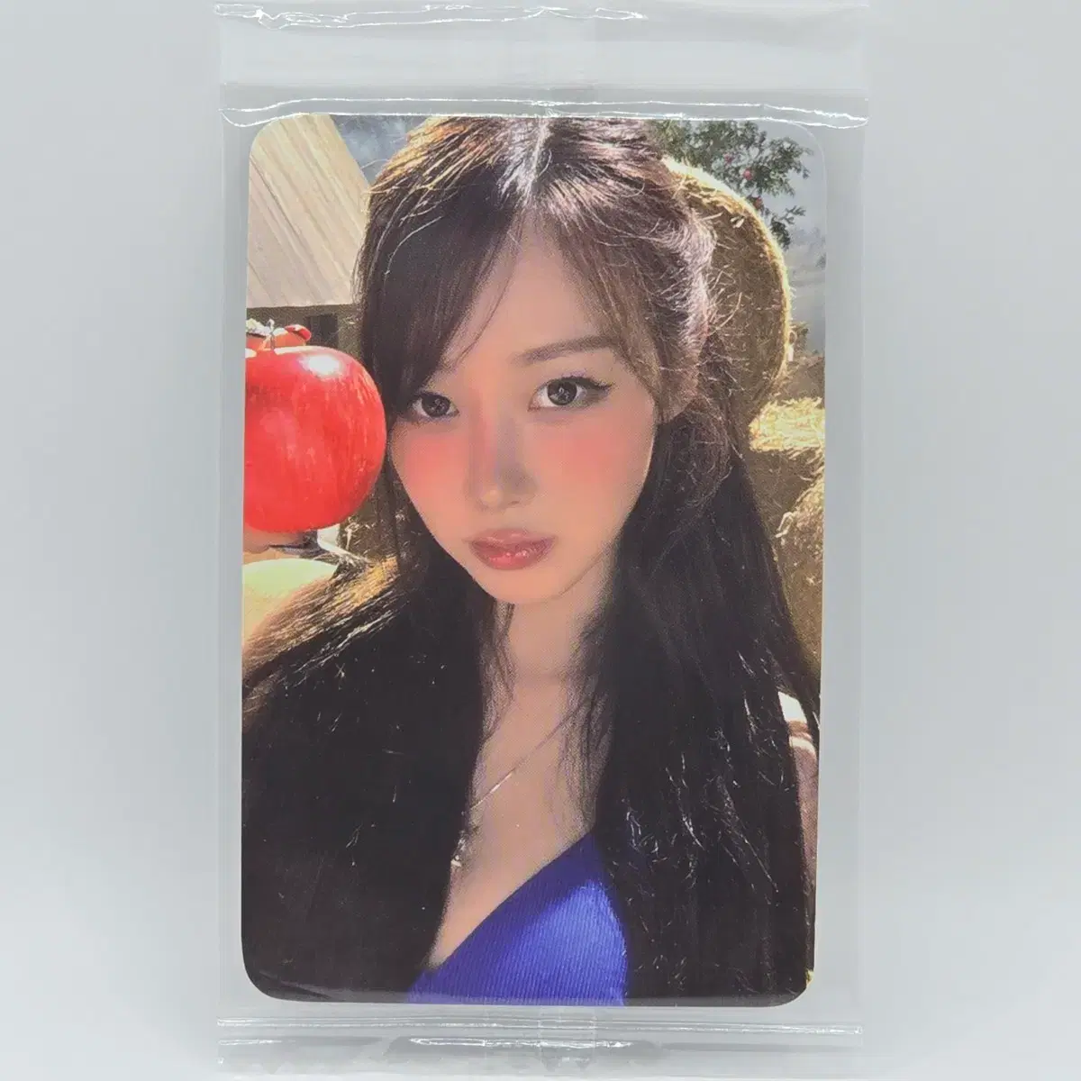 에스파 포토카드 리치맨 케타포 미공포 지젤 1