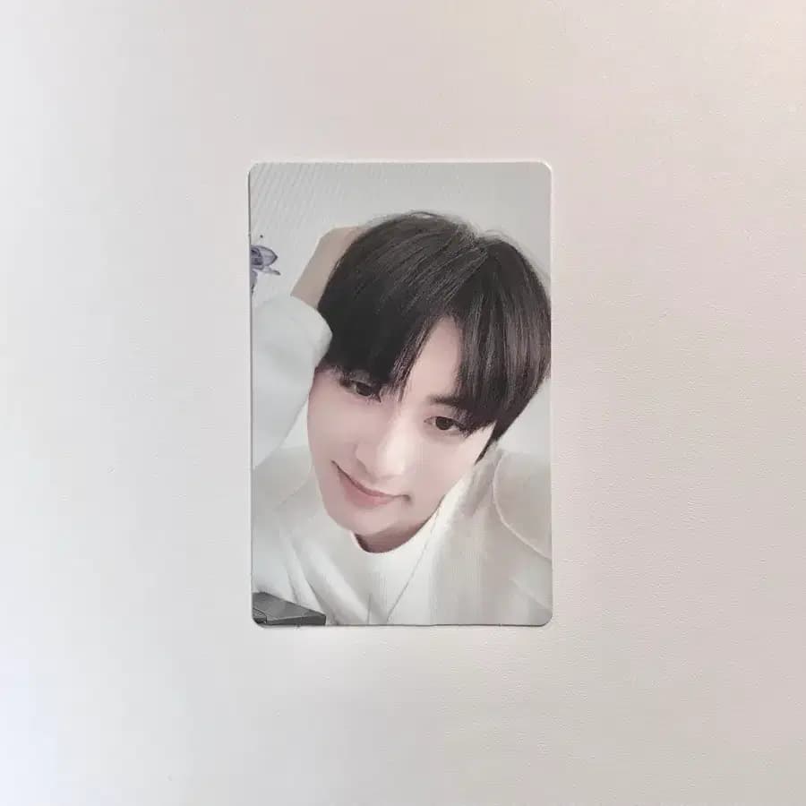 WHO 후 버전 보넥도 태산 포카 양도 앨포 1