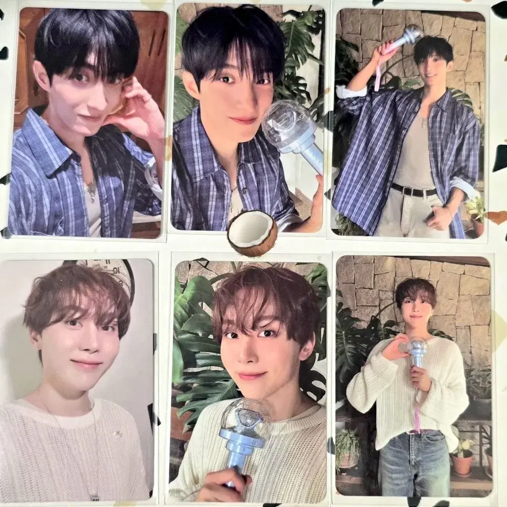세븐틴 도겸 승관 뿌도 dxs 한국 일본 캐럿존 포카 양도 분철 판매