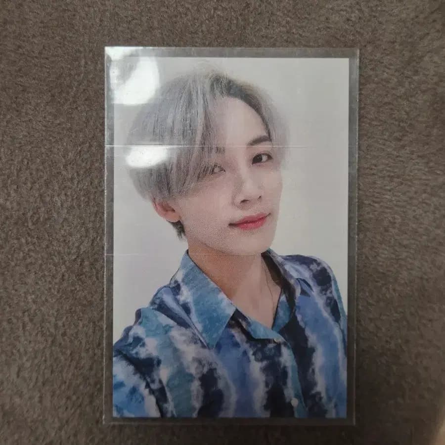 세븐틴 정한 캐럿존 오드투유 월드투어 서울 포카