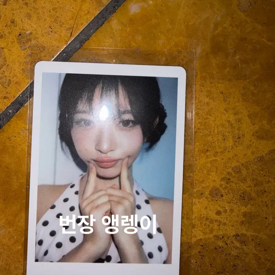 아이브 리바이브 위드뮤 럭드 레이 폴라 포카 판매 1