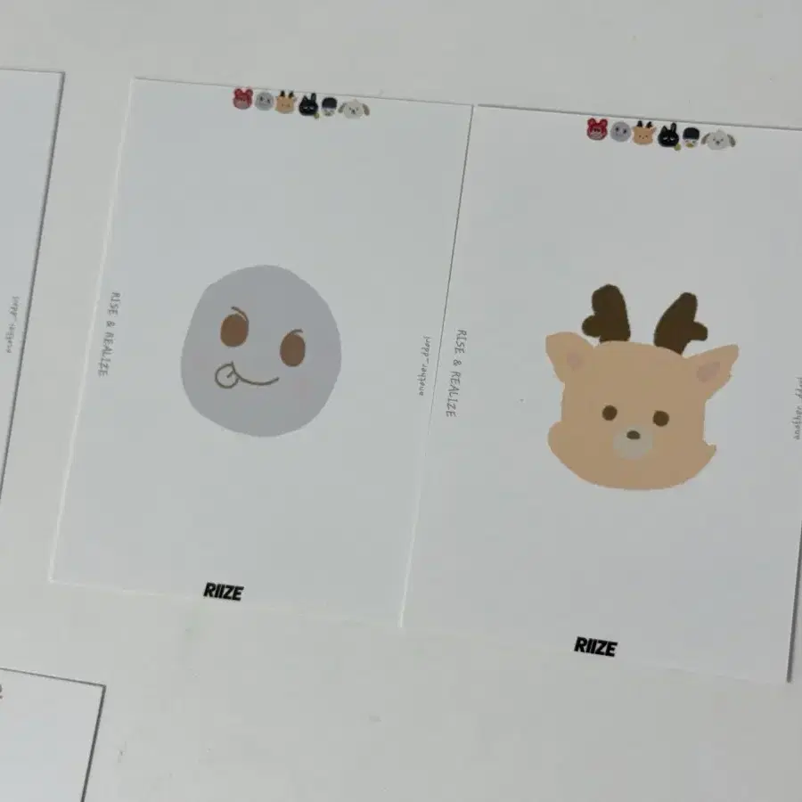 라이즈 포카 바인더 대지 + 2포켓 바인더 2