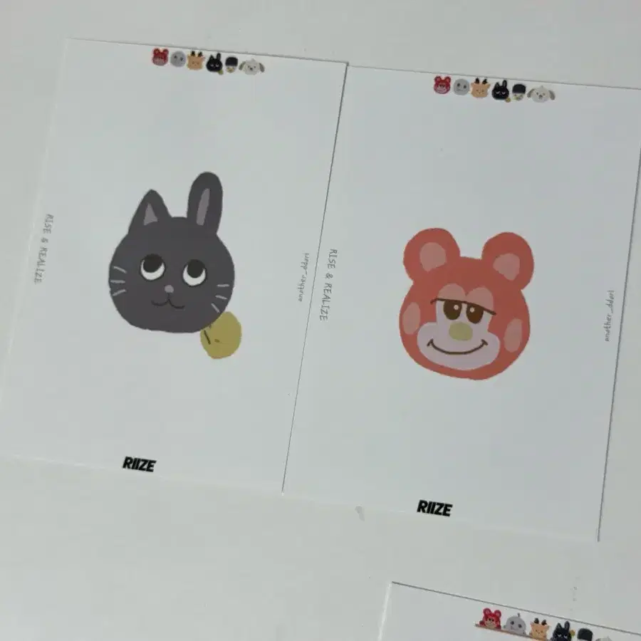 라이즈 포카 바인더 대지 + 2포켓 바인더 3