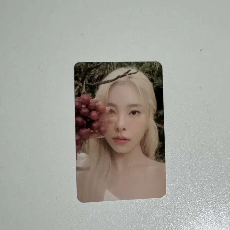 마마무 휘인포카 (mamamoo wheein) (솔로앨범공식포카) 1