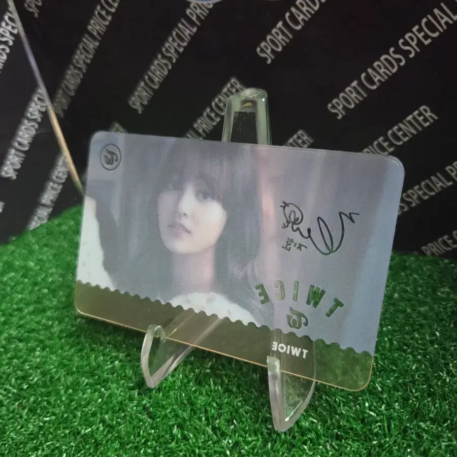 트와이스 지효 포토카드 3