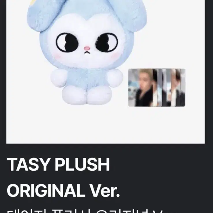 스키즈 월투 콘서트 테이지 인형 반지 포카 분철